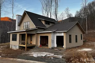 100 Bear Tree Cove, Canton, NC 28716 - Photo 7