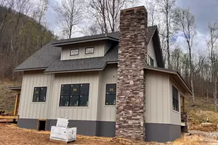 100 Bear Tree Cove, Canton, NC 28716 - Photo 21