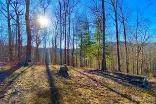 288 Rebel Dr, Hot Springs, NC 28743 - Photo 35