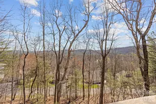 210 Claymoor Ct, Flat Rock, NC 28731 - Photo 27