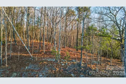 99 Spring Song Lane #9, Fletcher, NC 28732 - Photo 3