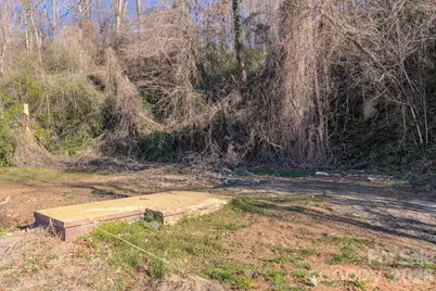16 Governors View Road, Asheville, NC 28805 - Photo 7