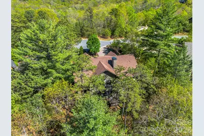 16 Panther Gap Road, Black Mountain, NC 28711 - Photo 3