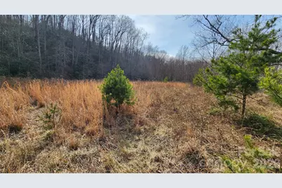 3490 US 70 Highway E, Marion, NC 28752 - Photo 27