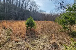 3490 US 70 Hwy E, Marion, NC 28752 - Photo 27