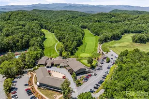 287 Dvdisdi Ct, Brevard, NC 28712 - Photo 45