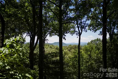 287 Dvdisdi Court, Brevard, NC 28712 - Photo 37