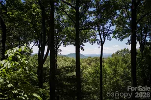 287 Dvdisdi Ct, Brevard, NC 28712 - Photo 37