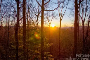 287 Dvdisdi Ct, Brevard, NC 28712 - Photo 41