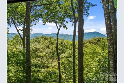 287 Dvdisdi Court, Brevard, NC 28712 - Photo 5