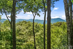 287 Dvdisdi Ct, Brevard, NC 28712 - Photo 5