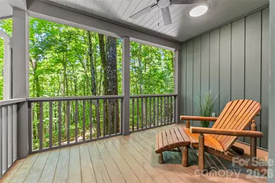 287 Dvdisdi Court, Brevard, NC 28712 - Photo 17