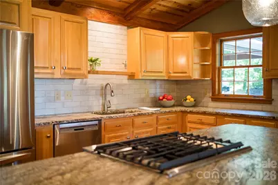 287 Dvdisdi Court, Brevard, NC 28712 - Photo 9