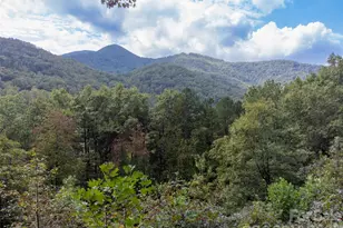 365 Duckback Trl, Whittier, NC 28789 - Photo 41