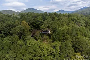 365 Duckback Trl, Whittier, NC 28789 - Photo 43