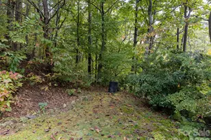 365 Duckback Trl, Whittier, NC 28789 - Photo 37