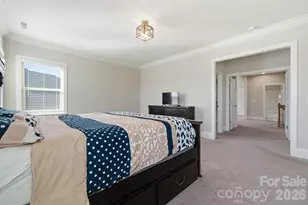 8920 Branch Brook Pl, Huntersville, NC 28078 - Photo 23