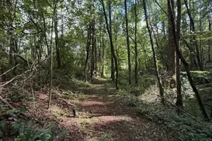 132 Hurd Rd, Canton, NC 28716 - Photo 21