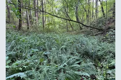 132 Hurd Road, Canton, NC 28716 - Photo 21