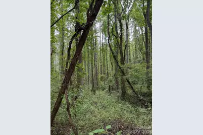 132 Hurd Road, Canton, NC 28716 - Photo 23