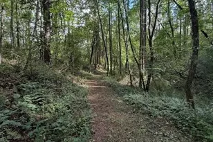 132 Hurd Rd, Canton, NC 28716 - Photo 25