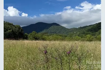 132 Hurd Road, Canton, NC 28716 - Photo 17