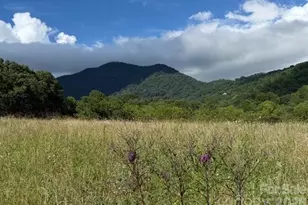 132 Hurd Rd, Canton, NC 28716 - Photo 17