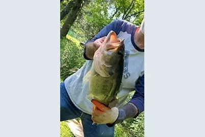 132 Hurd Road, Canton, NC 28716 - Photo 3