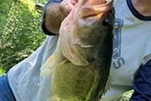 132 Hurd Rd, Canton, NC 28716 - Photo 3