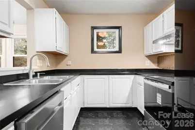 9205 Ravenwing Drive, Charlotte, NC 28262 - Photo 7