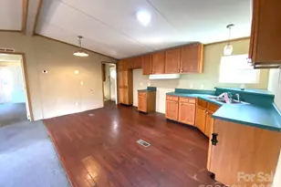 16 Molly Ln, Candler, NC 28715 - Photo 3