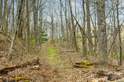 252 Pinewood Circle, Hendersonville, NC 28739 - Photo 3