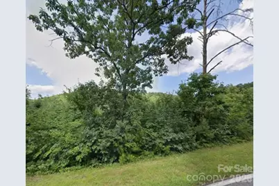 329 Leman Gap Road, Casar, NC 28020 - Photo 3