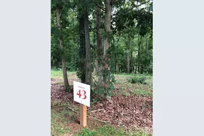 45 Sweet Fern Parkway #43, Asheville, NC 28804 - Photo 3