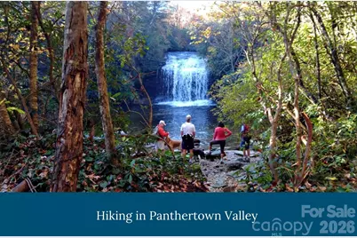 Lot 29 Summit Ridge Road, Lake Toxaway, NC 28747 - Photo 5