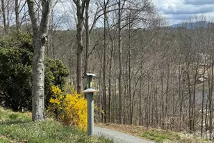 470 Ela Ln, Bryson City, NC 28713 - Photo 27