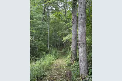 00000 Worley Cove Road, Canton, NC 28716 - Photo 7