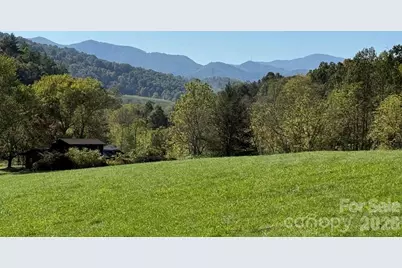 00000 Worley Cove Road, Canton, NC 28716 - Photo 1