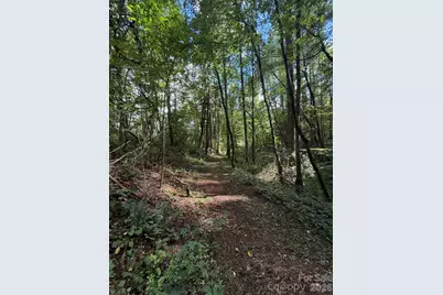 00000 Worley Cove Road, Canton, NC 28716 - Photo 9