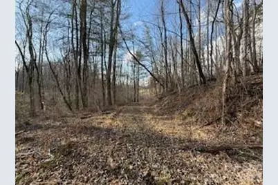 00000 Worley Cove Road, Canton, NC 28716 - Photo 3