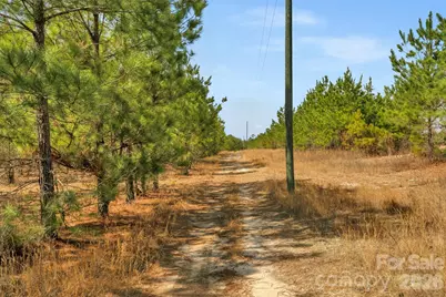 931 Charlie Johnson Road #9, Kershaw, SC 29067 - Photo 5