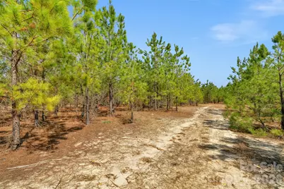 931 Charlie Johnson Road #9, Kershaw, SC 29067 - Photo 7