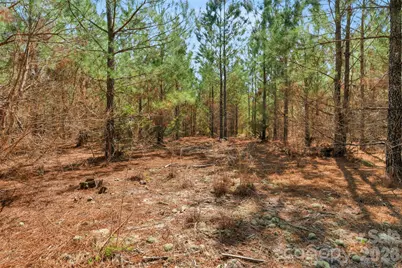 931 Charlie Johnson Road #9, Kershaw, SC 29067 - Photo 29