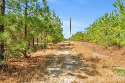 931 Charlie Johnson Road #9, Kershaw, SC 29067 - Photo 11