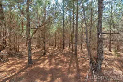 931 Charlie Johnson Road #9, Kershaw, SC 29067 - Photo 23