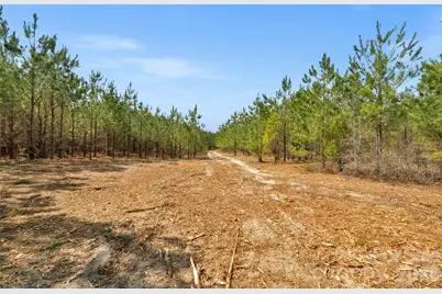 931 Charlie Johnson Road #9, Kershaw, SC 29067 - Photo 19