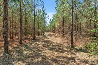 931 Charlie Johnson Road #9, Kershaw, SC 29067 - Photo 31