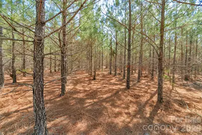 931 Charlie Johnson Road #9, Kershaw, SC 29067 - Photo 17