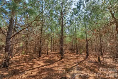 931 Charlie Johnson Road #9, Kershaw, SC 29067 - Photo 21