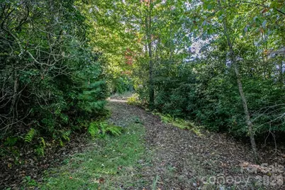 Tbd Rock Face Road #L299, Brevard, NC 28712 - Photo 5